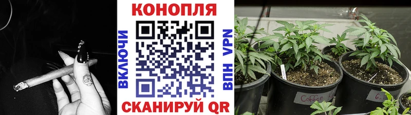 Виды наркоты Володарск A PVP Меф мяу мяу кракен как зайти Марихуана ГАШИШ