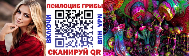 наркота  Володарск  Псилоцибиновые грибы Psilocybine cubensis 