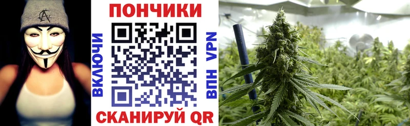 где купить наркотик  Володарск  Бошки Шишки AK-47 